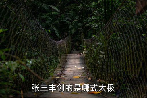 張三豐創(chuàng)的是哪式太極