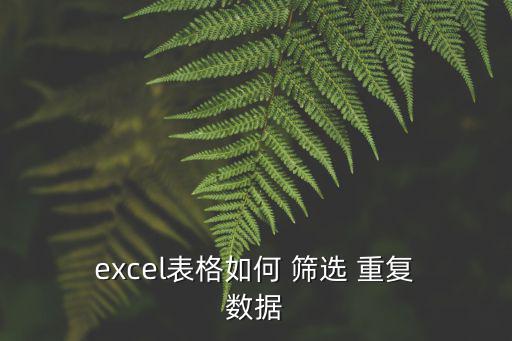  excel表格如何 篩選 重復 數據