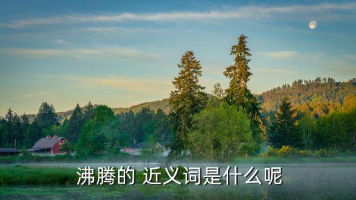 沸騰的 近義詞是什么呢