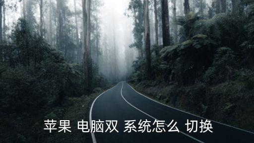  蘋果 電腦雙 系統怎么 切換