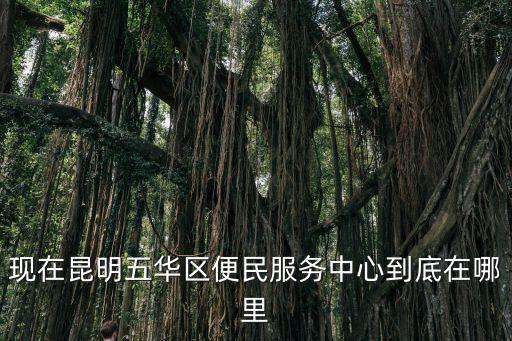 現(xiàn)在昆明五華區(qū)便民服務(wù)中心到底在哪里