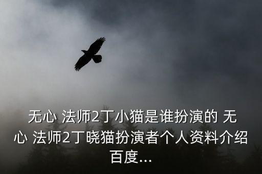  無心 法師2丁小貓是誰扮演的 無心 法師2丁曉貓扮演者個人資料介紹百度...