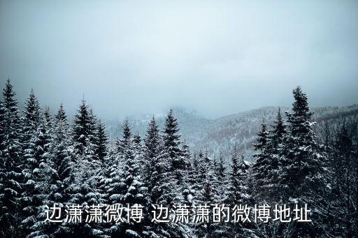邊瀟瀟微博 邊瀟瀟的微博地址