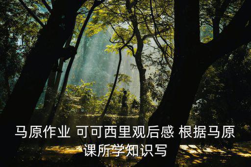 馬原作業 可可西里觀后感 根據馬原課所學知識寫