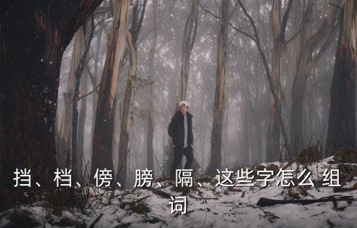 擋、檔、傍、膀、隔、這些字怎么 組詞