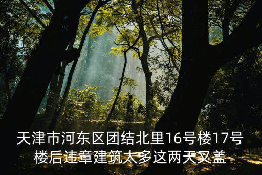 天津市河?xùn)|區(qū)團(tuán)結(jié)北里16號(hào)樓17號(hào)樓后違章建筑太多這兩天又蓋