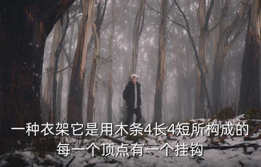 一種衣架它是用木條4長(zhǎng)4短所構(gòu)成的每一個(gè)頂點(diǎn)有一個(gè)掛鉤