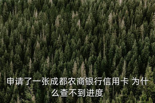 申請了一張成都農(nóng)商銀行信用卡 為什么查不到進度