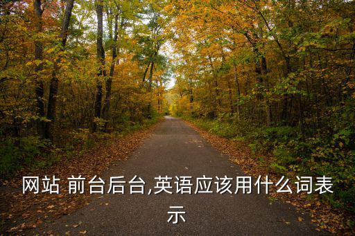 前臺(tái)英文,編程(programming)是可選開發(fā)語言之一
