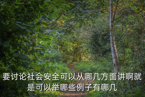要討論社會安全可以從哪幾方面講啊就是可以舉哪些例子有哪幾