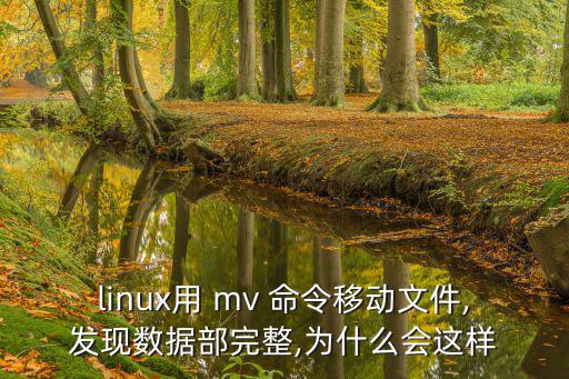 linux用 mv 命令移動(dòng)文件,發(fā)現(xiàn)數(shù)據(jù)部完整,為什么會(huì)這樣