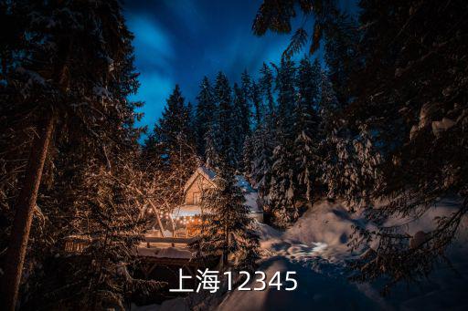 上海市12345打不進去，上海12345