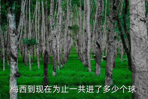 梅西進球數(shù)，梅西到現(xiàn)在為止一共進了多少個球