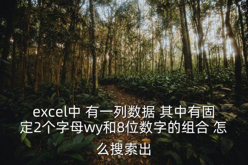 wy8，excel中 有一列數據 其中有固定2個字母wy和8位數字的組合 怎么搜索出