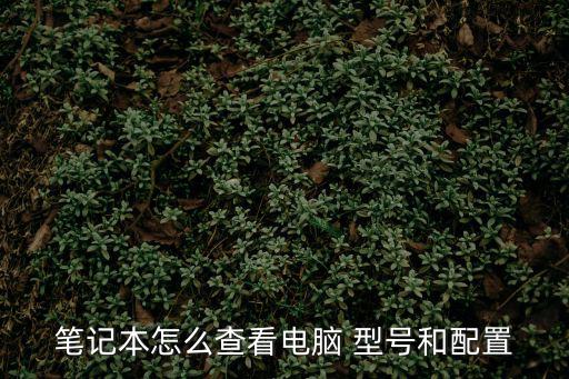 筆記本電腦型號,怎么買筆記本?可以這樣做!