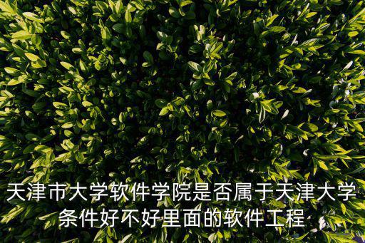 天津市大學軟件學院是否屬于天津大學條件好不好里面的軟件工程