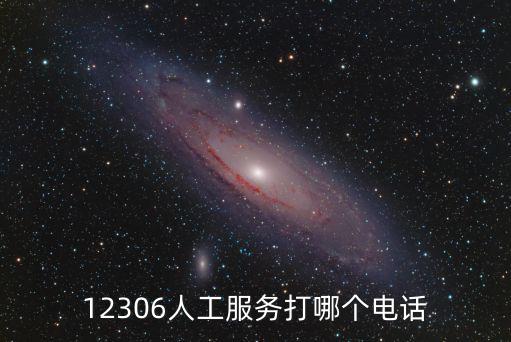12306人工服務打哪個電話