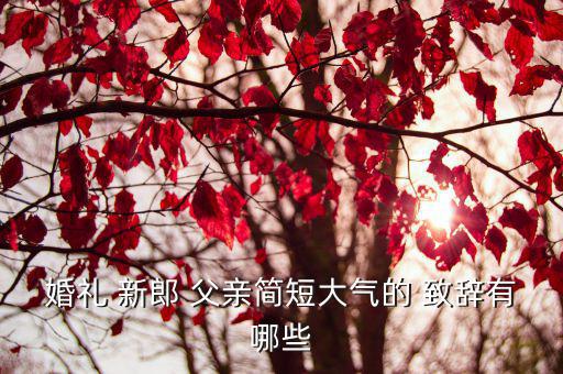 新郎父親致辭,前進黨第二批準(zhǔn)候選人包括銀行高管李智陞