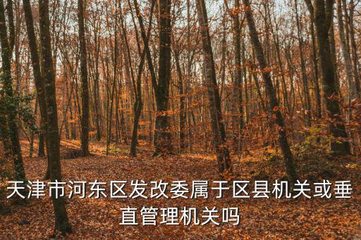 天津市河東區發改委屬于區縣機關或垂直管理機關嗎