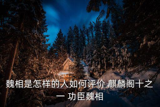 魏相是怎樣的人如何評(píng)價(jià) 麒麟閣十之一 功臣魏相