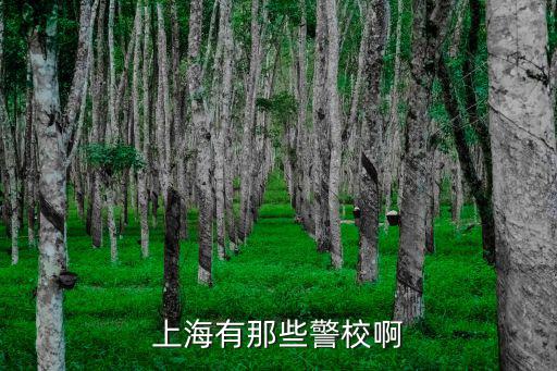 上海有那些警校啊