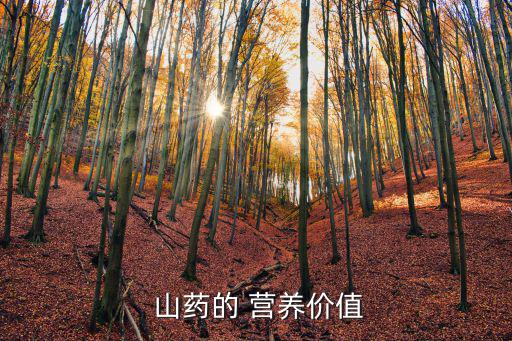  山藥的 營養價值