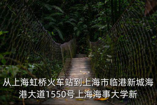 從上海虹橋火車站到上海市臨港新城海港大道1550號上海海事大學新