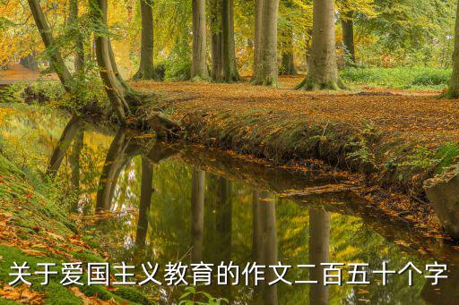 關(guān)于愛國主義教育的作文二百五十個字