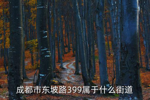 成都市東陂路屬于那個區，成都武侯區錦里錦江區太古里青羊區寬窄巷子分別歸哪個街道辦事