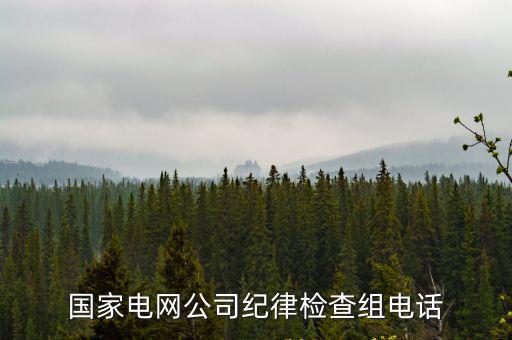 國家電網(wǎng)公司紀(jì)律檢查組電話