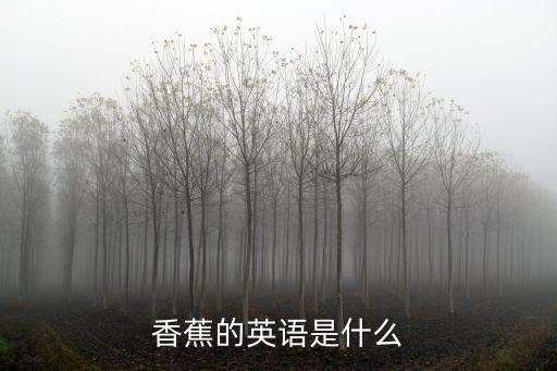 香蕉的英語(yǔ)是什么