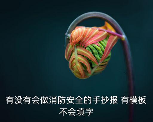 有沒有會做消防安全的手抄報 有模板不會填字