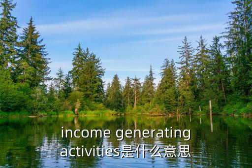 income generatingactivities是什么意思