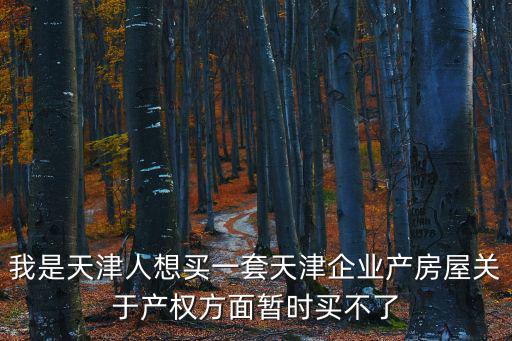 我是天津人想買一套天津企業(yè)產(chǎn)房屋關(guān)于產(chǎn)權(quán)方面暫時(shí)買不了