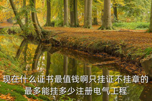 現在什么證書最值錢啊只掛證不掛章的最多能掛多少注冊電氣工程