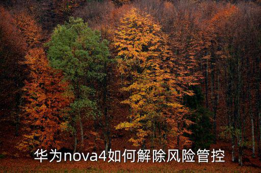 華為nova4如何解除風險管控
