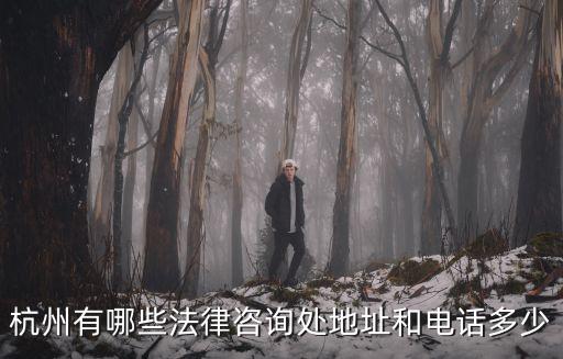 杭州有哪些法律咨詢處地址和電話多少