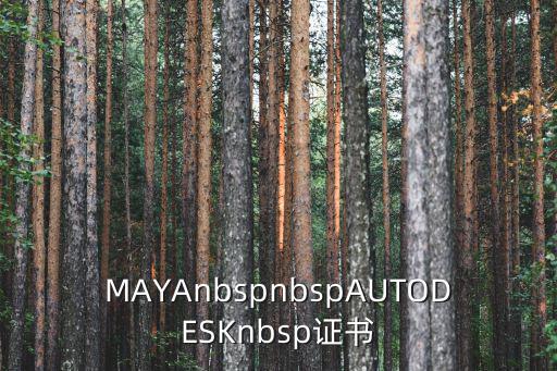 MAYAnbspnbspAUTODESKnbsp證書