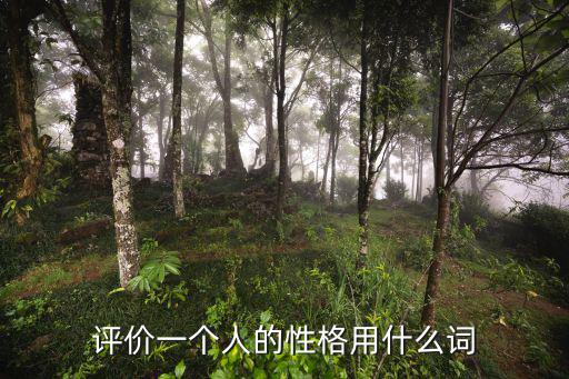 評(píng)價(jià)一個(gè)人的性格用什么詞