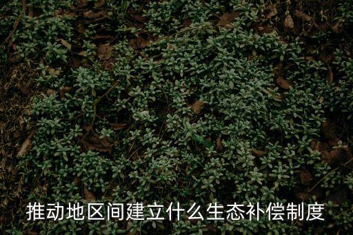 推動地區間建立什么生態補償制度