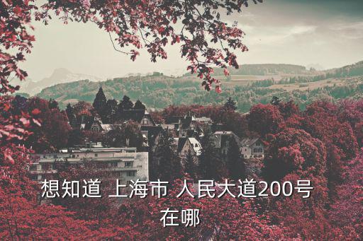 想知道 上海市 人民大道200號(hào) 在哪