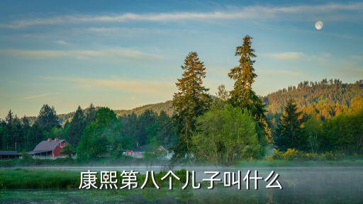 康熙第八個兒子叫什么
