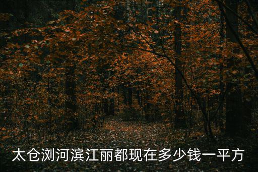 太倉(cāng)瀏河濱江麗都現(xiàn)在多少錢(qián)一平方