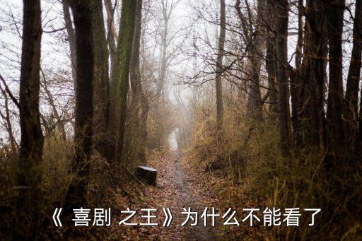 《 喜劇 之王》為什么不能看了