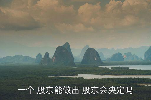 一個 股東能做出 股東會決定嗎