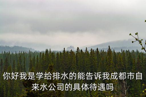 你好我是學(xué)給排水的能告訴我成都市自來水公司的具體待遇嗎