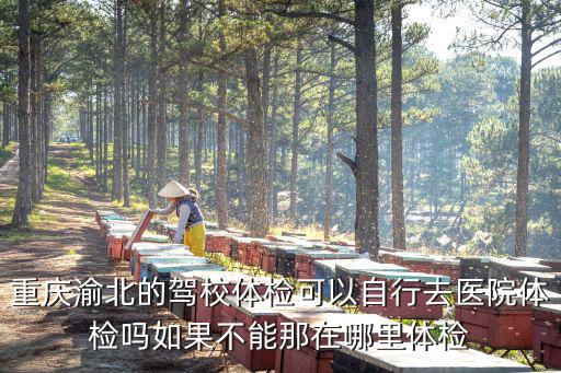 重慶渝北的駕校體檢可以自行去醫(yī)院體檢嗎如果不能那在哪里體檢
