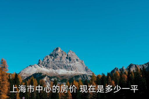 上海中心大廈一平米多少萬元，上海市中心的房價多少錢一個平米啊