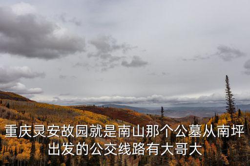 重慶靈安故園就是南山那個公墓從南坪出發的公交線路有大哥大