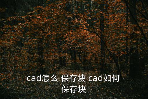  cad怎么 保存塊 cad如何 保存塊